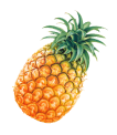 Red apple